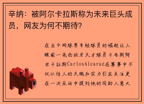 辛纳：被阿尔卡拉斯称为未来巨头成员，网友为何不期待？